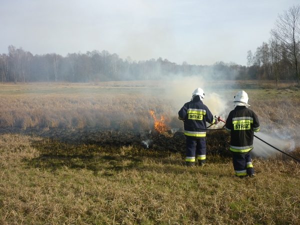 Udział w akcjach w II kwartale 2016 roku