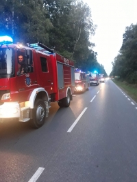 Udział w akcjach w III kwartale
