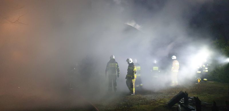 Udział w akcjach w IV kwartale 2020 r.