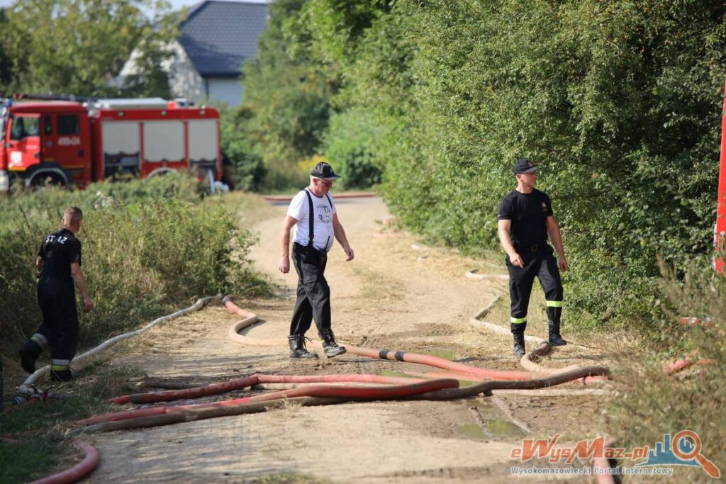 Udział w akcjach w II i III kwartale