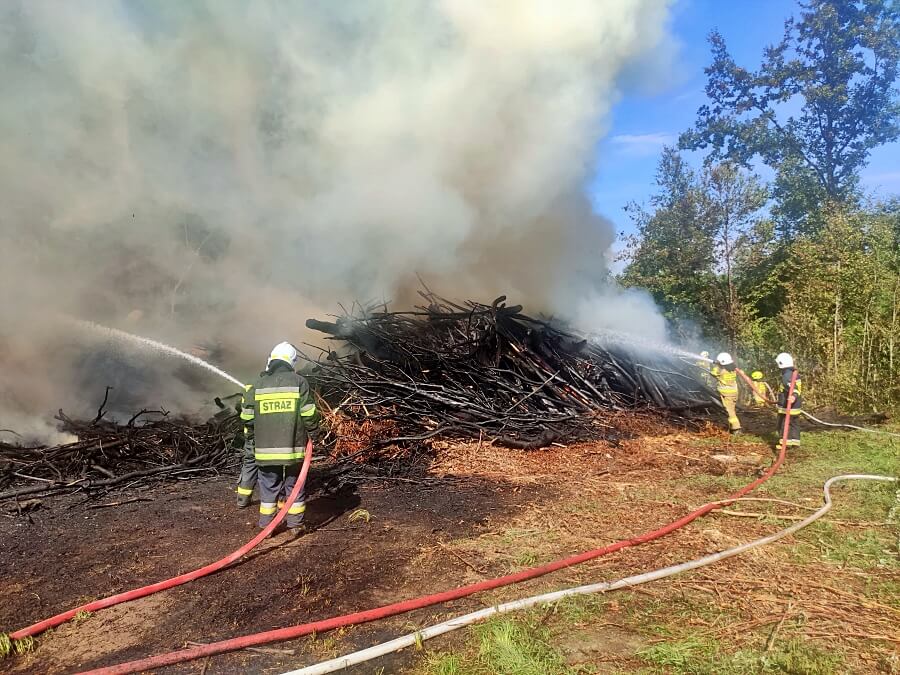 Udział w akcjach w II i III kwartale