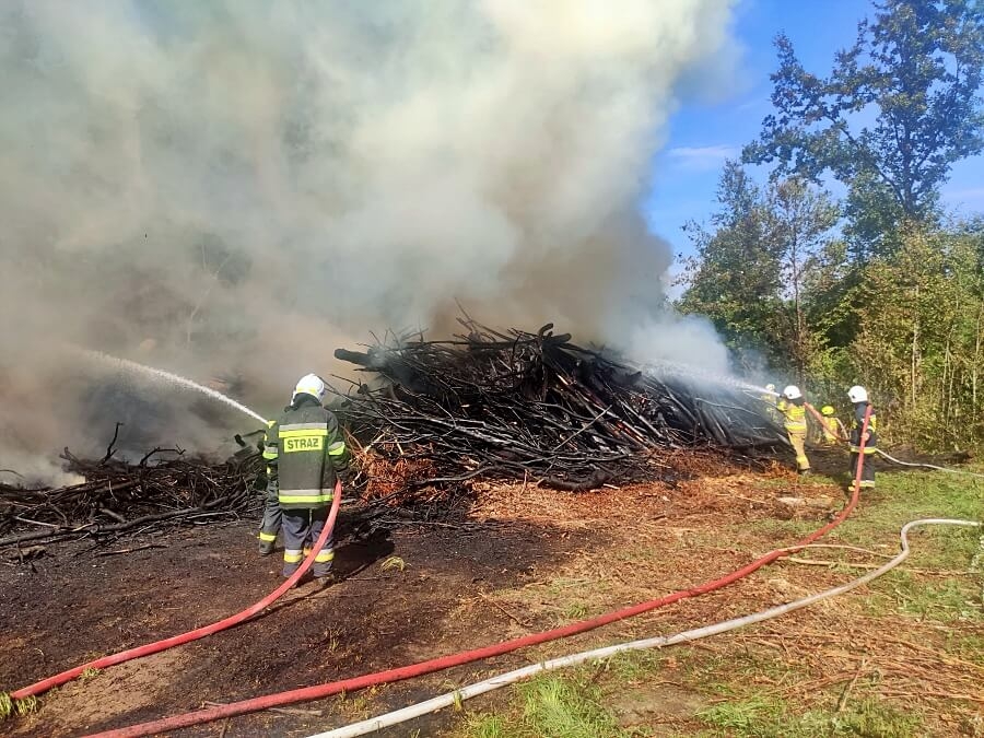 Udział w akcjach w II i III kwartale