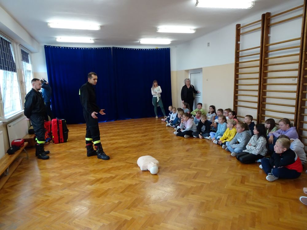 Podsumowanie działalności w 2024 r.